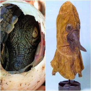 20 coisas que já ouvimos falar, mas poucos tiveram a sorte de ver