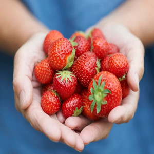 Encontrou 6 razões para comer 2 morangos por dia