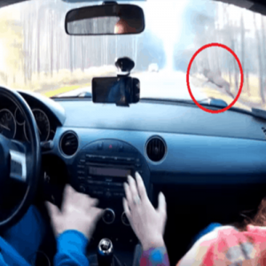 Veja o que acontece quando você atinge um cervo a 130 quilômetros por hora