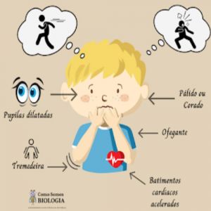 Como nosso corpo reage ao perigo?