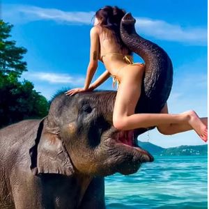 Pessoas tendo um dia pior que o seu