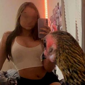 Quem disse essa grande bobagem??