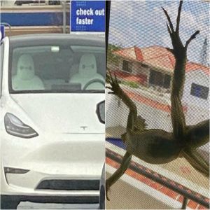 13 pessoas cuja vida ficou emocionante do nada