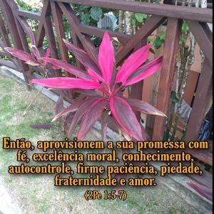 Aprovisionando as promessas