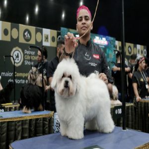 Feira mostra a força dos segmentos pet e veterinário até terça-feira (5)