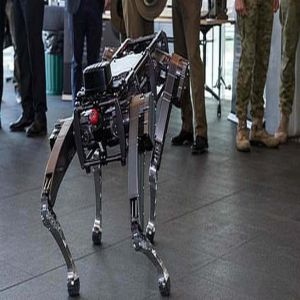 Professor do MIT adverte que vêm aí “robôs assassinos”