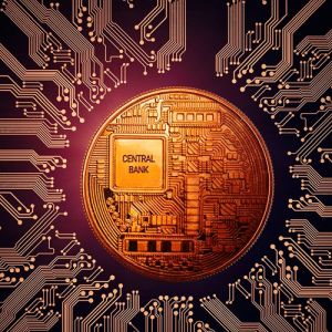 Brasil vai adotar criptomoeda?