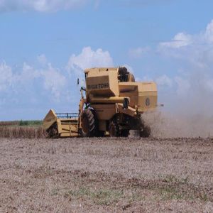 2023 traz expectativas positivas para o agronegócio paulista