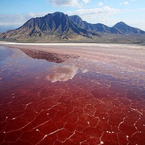 O misterioso lago Natron