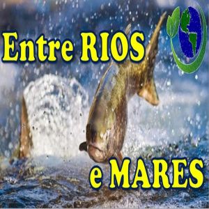Entre rios e mares