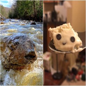 14 Fotos que explodem sua mente até você olhar um pouco mais de perto