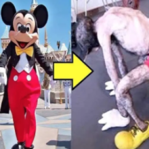 10 segredos assustadores que a Disney não quer que você saiba