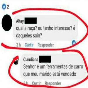 Da série em que a melhor parte sempre está nas entrelinhas dos comentários