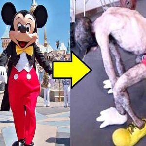 10 segredos assustadores que a Disney não quer que você saiba