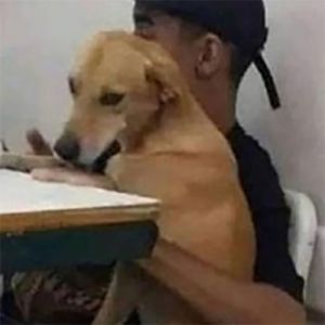 Quando a professora fala que o trabalho é com o melhor amigo