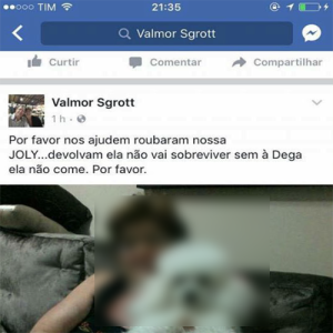 Ela achou que a cachorra tinha se perdido mas não era nada disso