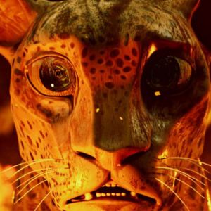 Moby pede atenção à preservação da Amazônia